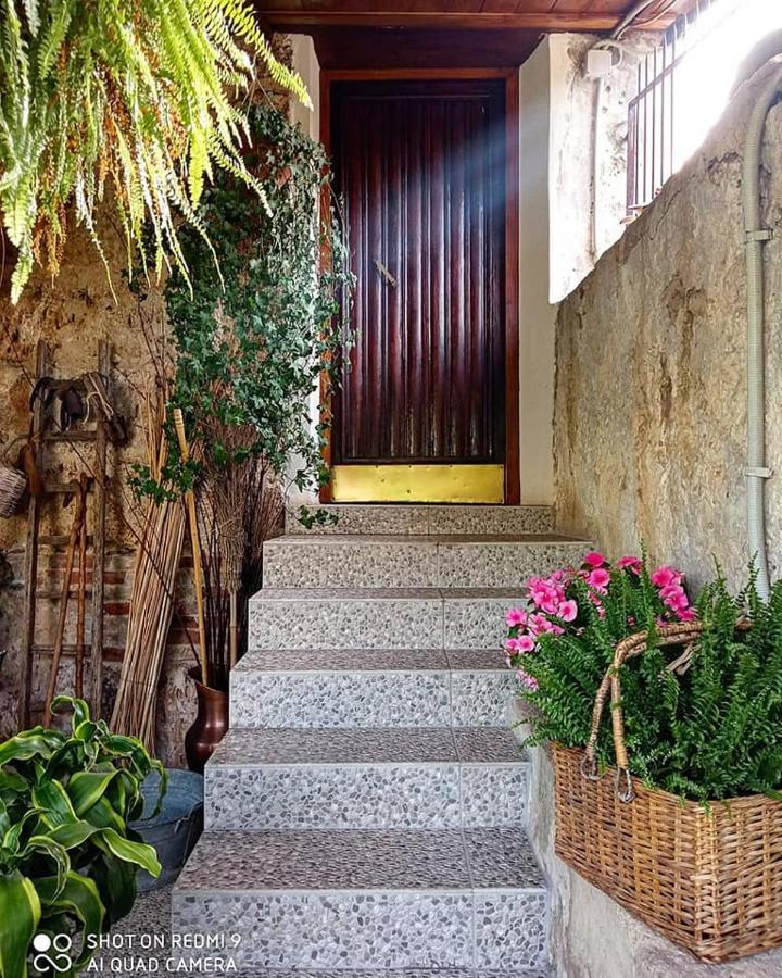 I Leoni Di Sicilia Palermo Villa Exteriör bild